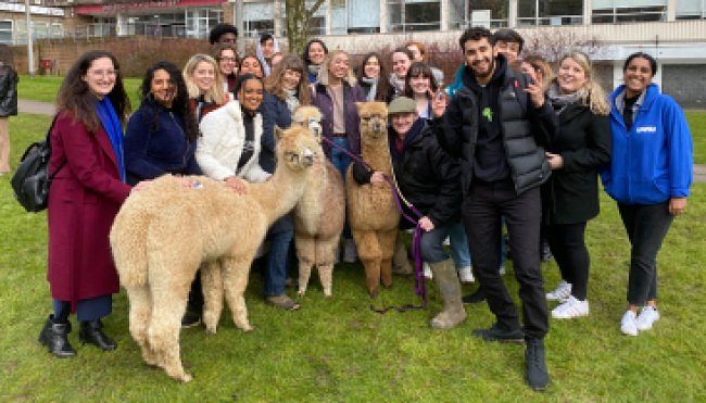 westminster students union alpacas goodman jones