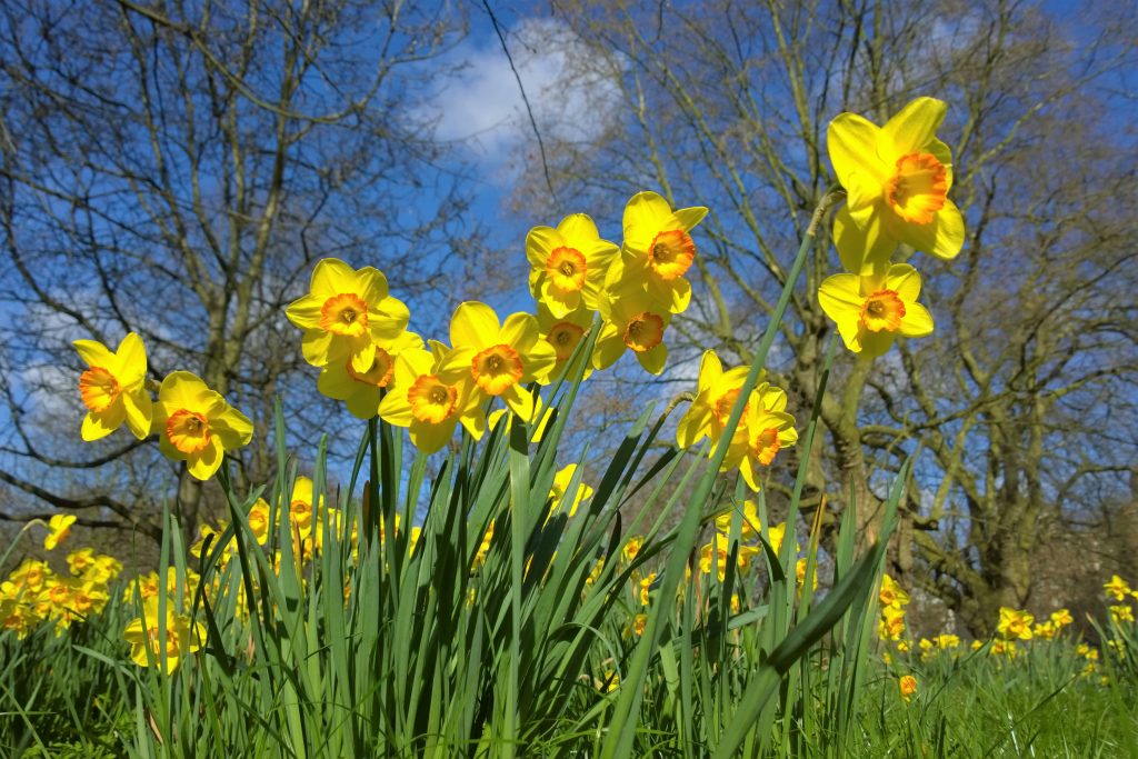 UK Spring Budget 2024 Questions Answered