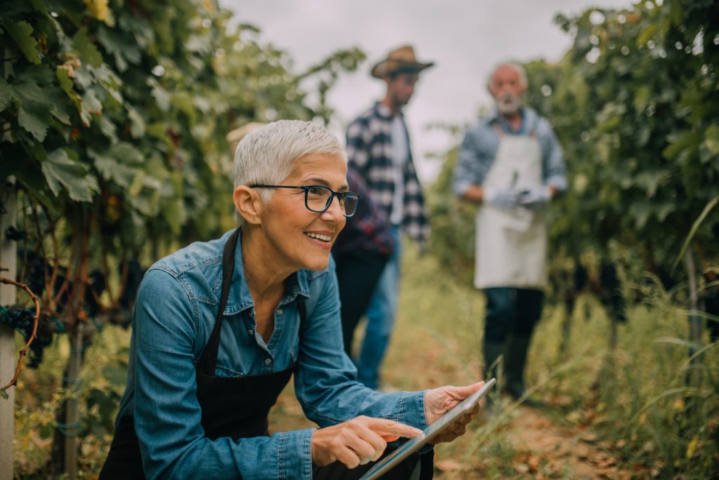 Business and Agricultural Property Reliefs' uncertain future: how should family businesses adapt?