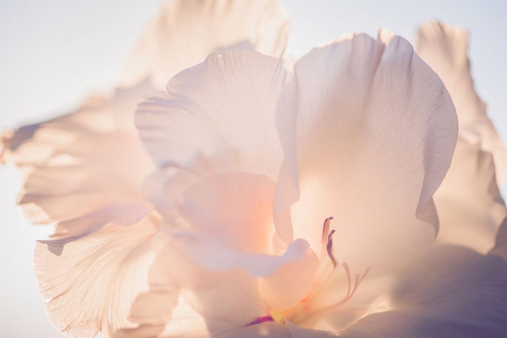 Goodman Jones Spring Journal: The Tax and Economic Developments Defining the Year Ahead