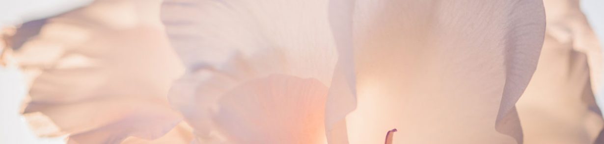 Goodman Jones Spring Journal: The Tax and Economic Developments Defining the Year Ahead