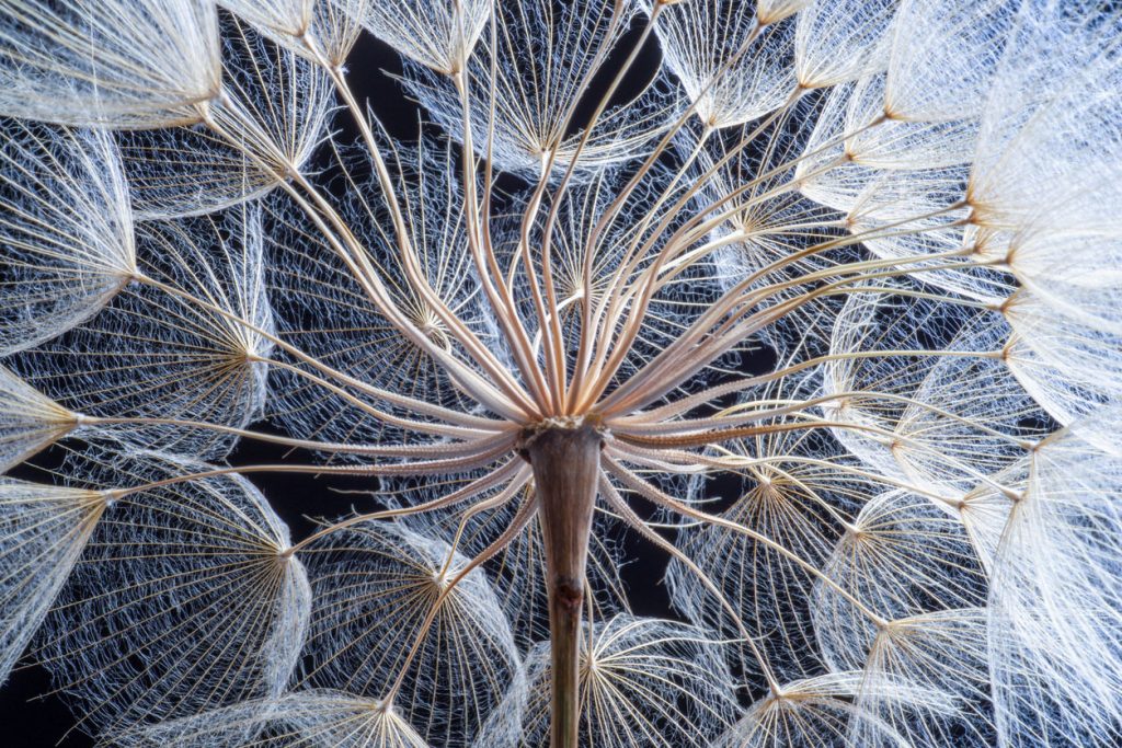 Spring Forecast 2026: What It Means for Businesses and Individuals