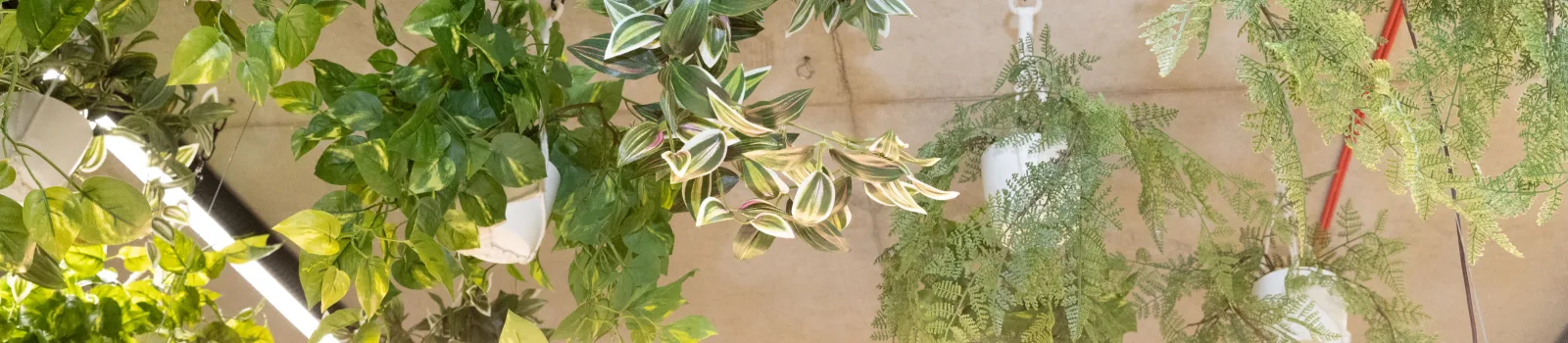 DetailsGJ 69