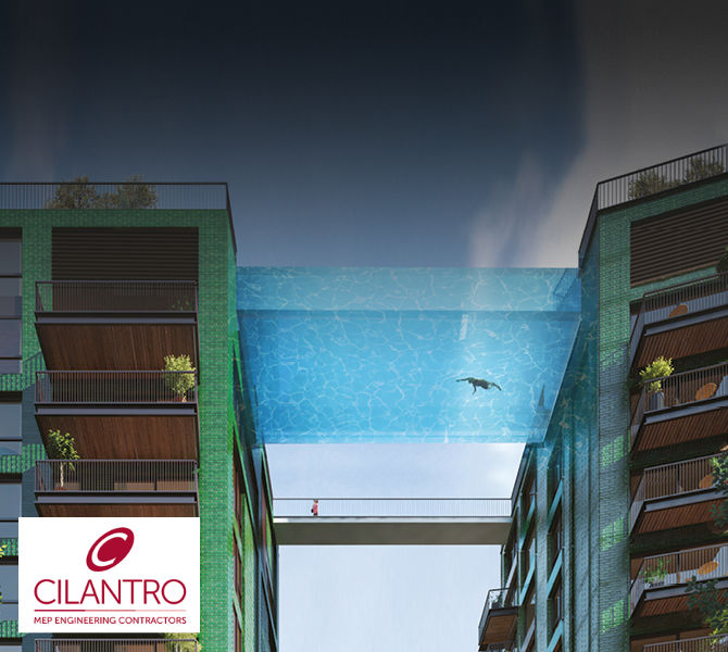 Cilantro with swimmer in pool