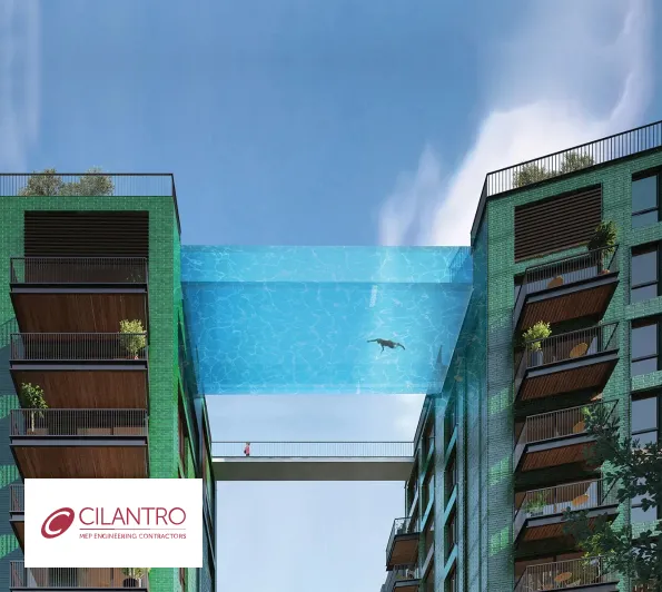 Cilantro with swimmer in pool