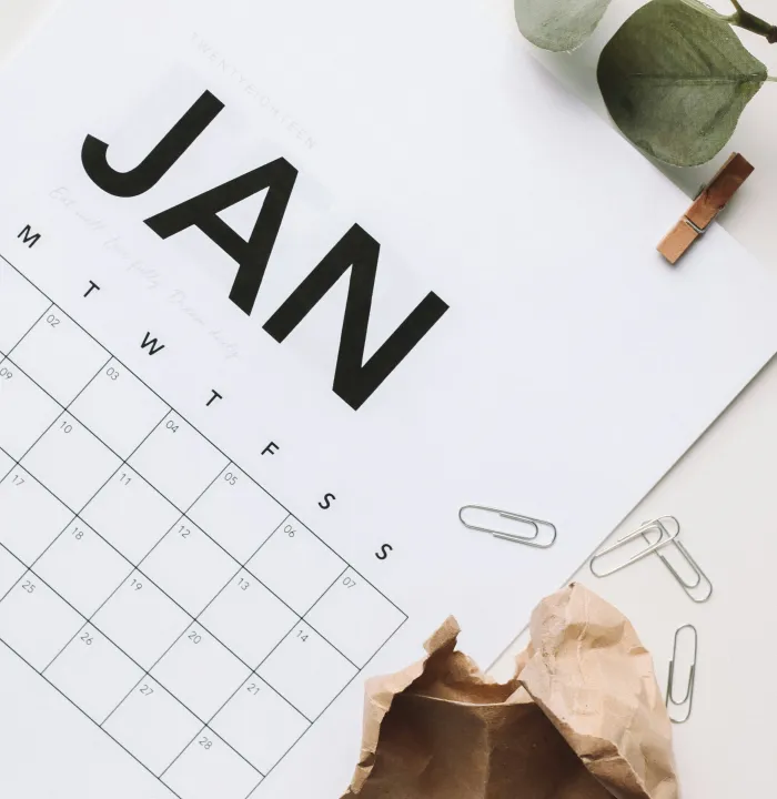 January calendar with eucalyptus leaves, wooden clips and paper clips on white desk
